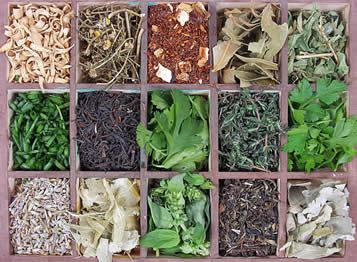Tribal Herbs